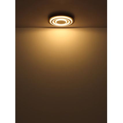 Globo - LED taklampa LED/24W/230V 3000K diameter 32 cm antracit