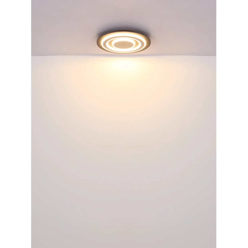 Globo - LED taklampa LED/24W/230V 3000K diameter 32 cm antracit