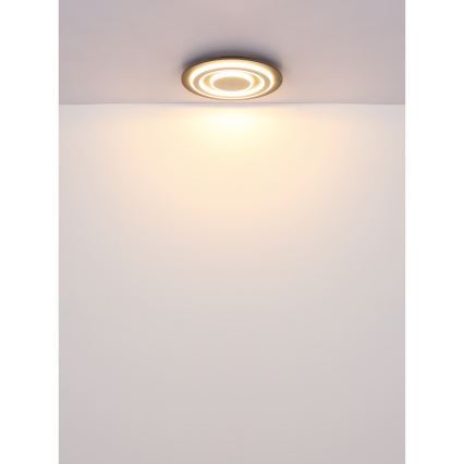 Globo - LED taklampa LED/24W/230V 3000K diameter 32 cm