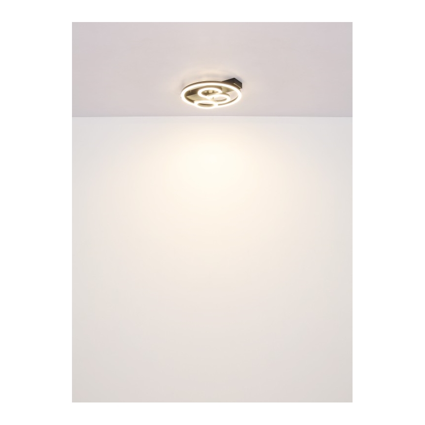 Globo - LED Dimbar taklampa LED/40W/230V 2700-6500K diameter 35x33 cm + fjärrkontroll