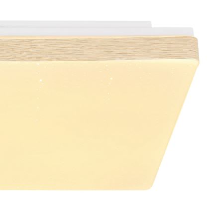 Globo - LED taklampa LED/12W/230V