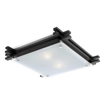 Globo 48324-2 - Takbelysning EDISON 2xE27/60W/230V