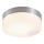 GLOBO 48401 - Takbelysning OPAL 1xE27/40W
