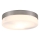 GLOBO 48402 - Takbelysning OPAL 2xE27/40W