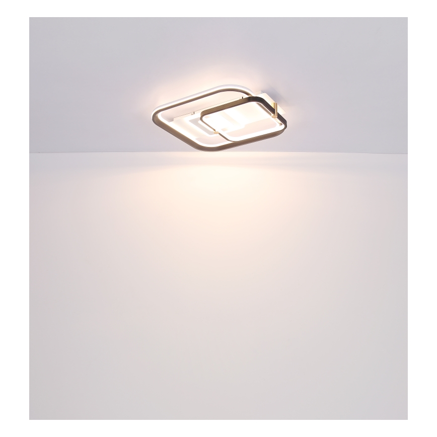 Globo 48459-48 - Dimbart LED-takarmatur ANI LED/48W/230V 2700-6000K 48x52 cm + fjärrkontroll