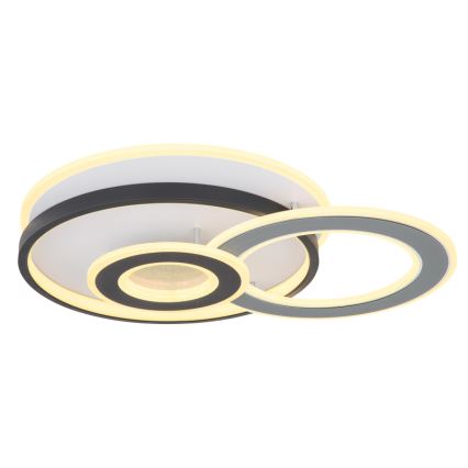 Globo 48552D4 - LED-taklampa BRIENNA LED/40W/230V 43x52 cm vit/grå