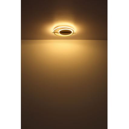 Globo - LED taklampa LED/36W/230V