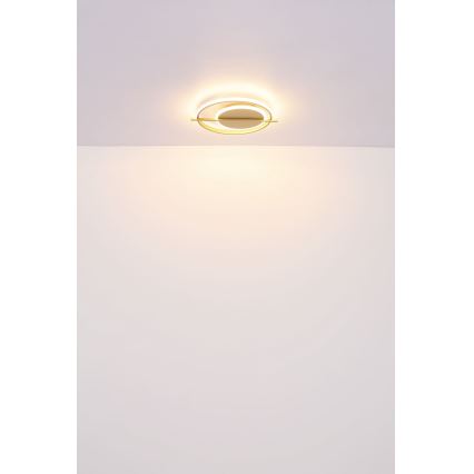 Globo - LED taklampa LED/36W/230V