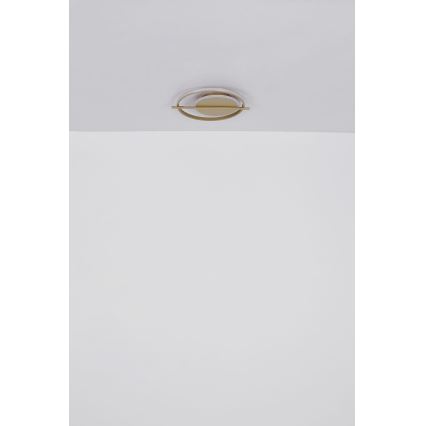 Globo - LED taklampa LED/36W/230V