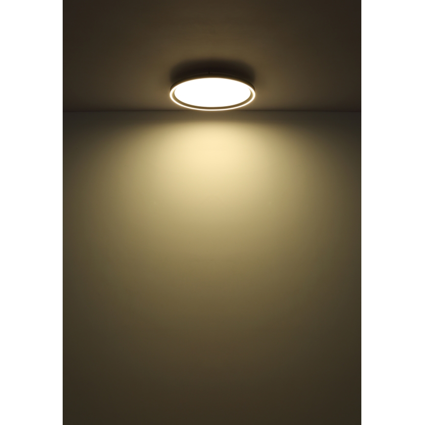 Globo - LED Dimbar taklampa LED/48W/230V diameter 50 cm 2700-6000K + fjärrkontroll