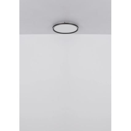 Globo - LED Dimbar taklampa LED/48W/230V diameter 50 cm 2700-6000K + fjärrkontroll
