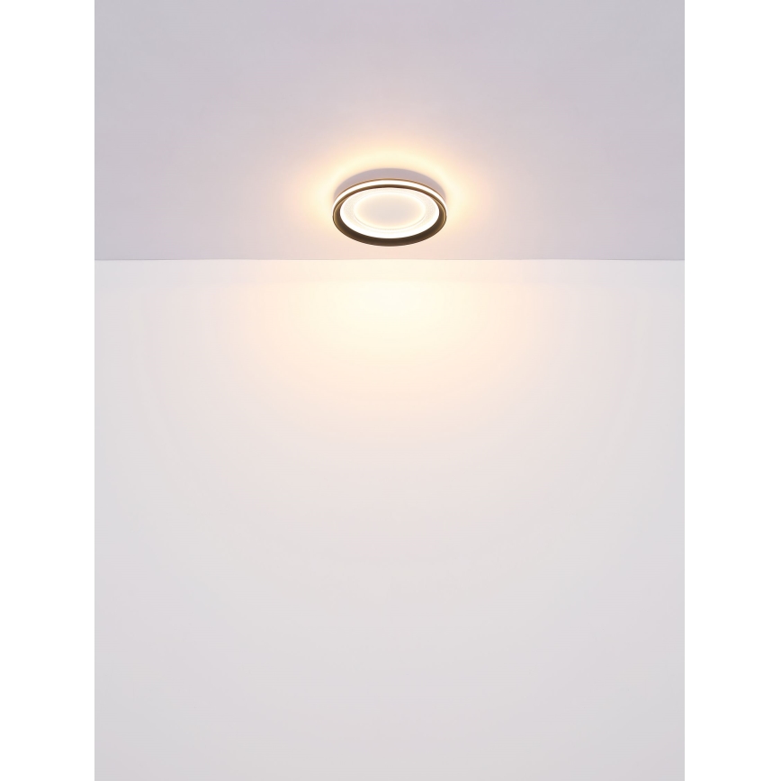 Globo - LED Dimbar taklampa LED/24W/230V 2700-6000K + fjärrkontroll