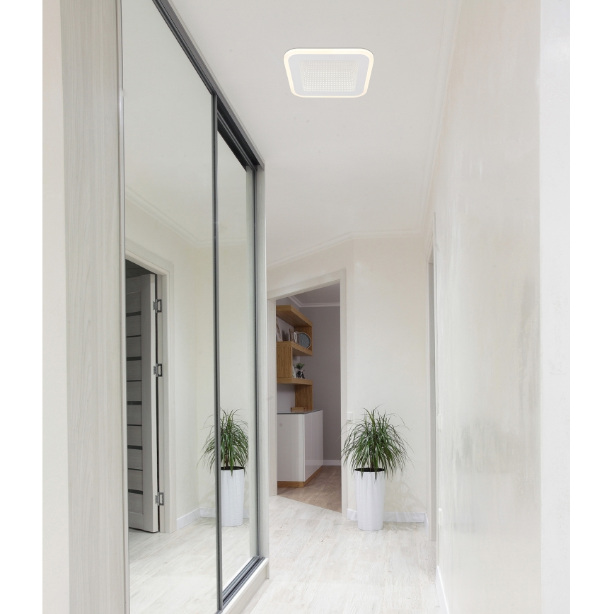 Globo - LED taklampa LED/12W/230V 4000K