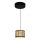 Globo 49367-6H - LED Ljuskrona med snöre POTTI LED/6W/230V