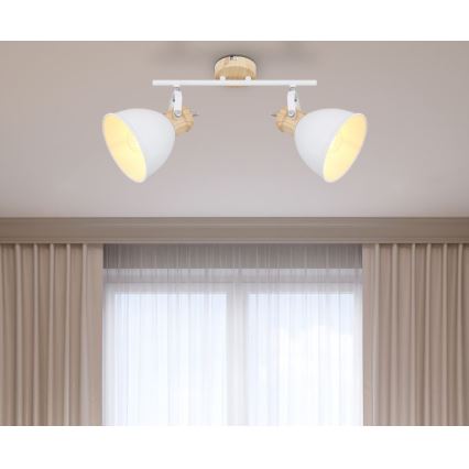 Globo 54018-2 - Spotlight WIHO 2xE27/40W/230V