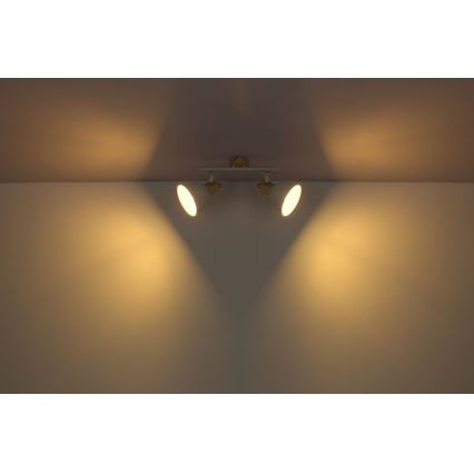 Globo 54018-2 - Spotlight WIHO 2xE27/40W/230V