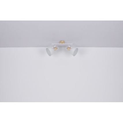 Globo 54018-2 - Spotlight WIHO 2xE27/40W/230V