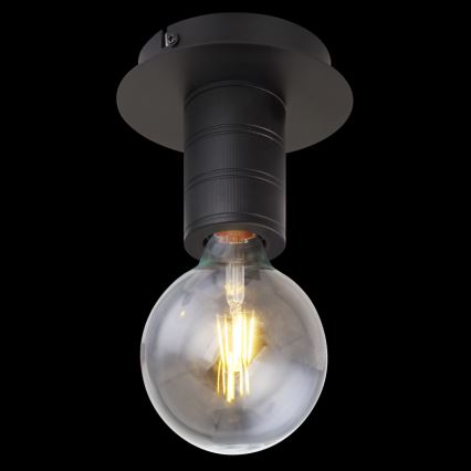 Globo 54030-1D - Takbelysning HERMINE 1xE27/60W/230V
