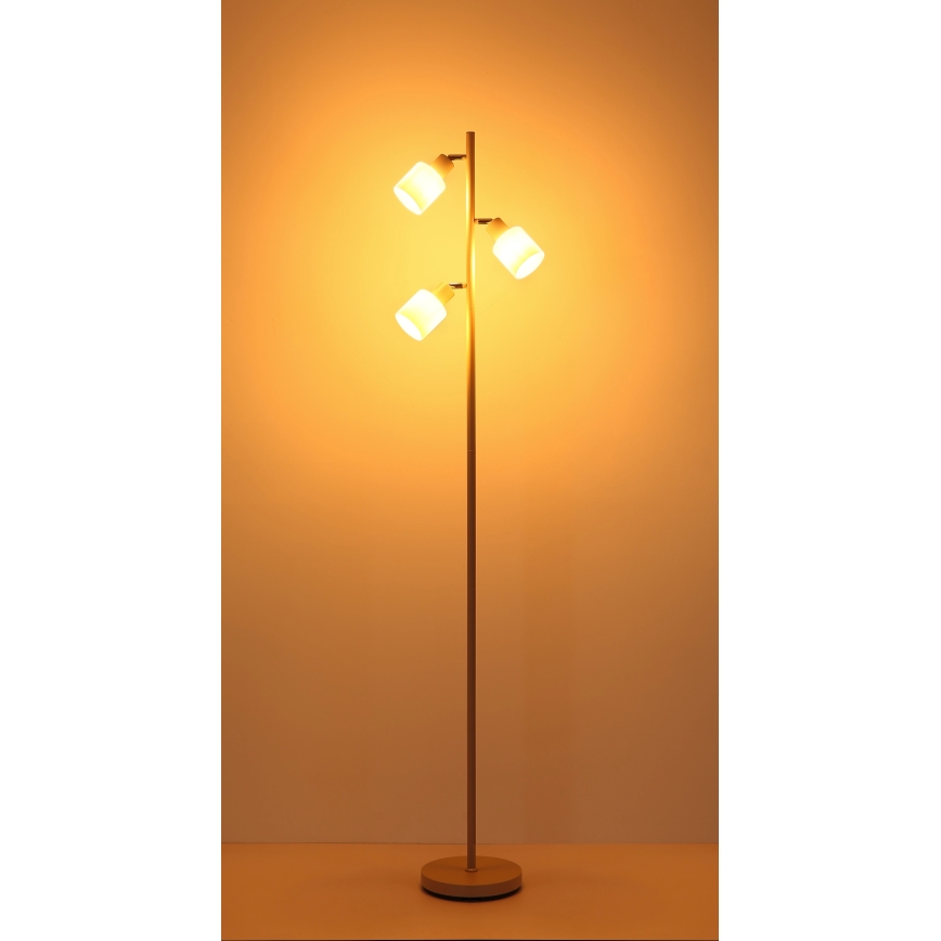 Globo - Golvlampa 3xE14/25W/230V