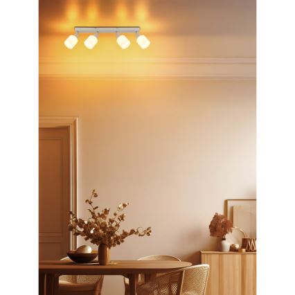 Globo - Spotlampa 4xE14/25W/230V