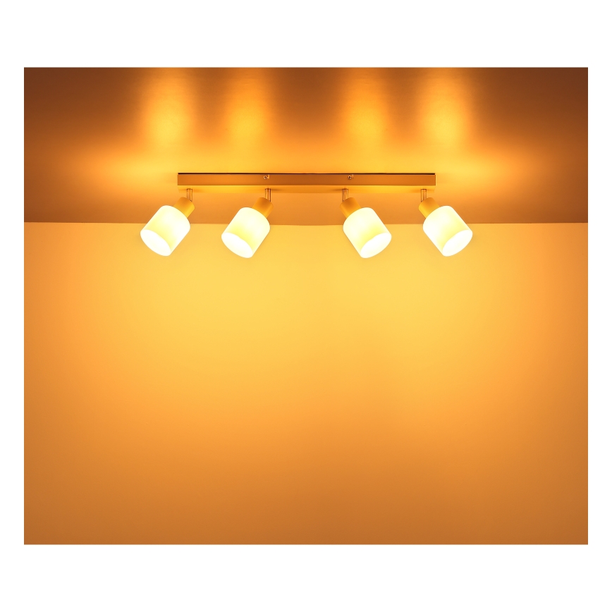 Globo - Spotlampa 4xE14/25W/230V