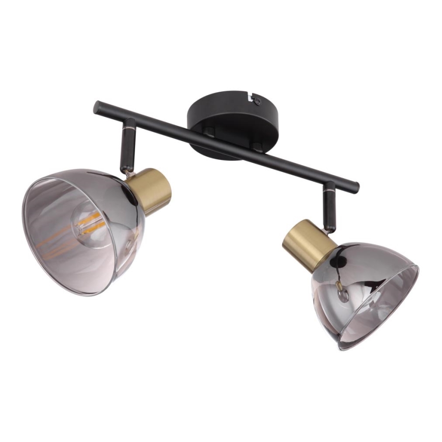 Globo 54305-2 - Spotlight JAY 2xE14/25W/230V