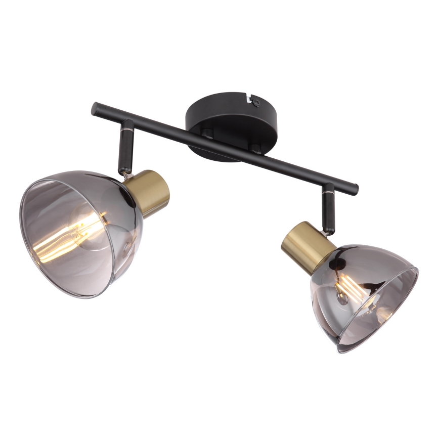 Globo 54305-2 - Spotlight JAY 2xE14/25W/230V