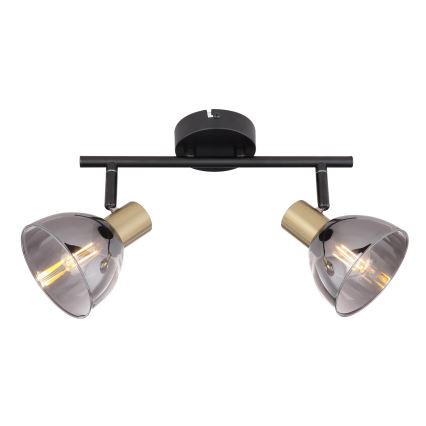 Globo 54305-2 - Spotlight JAY 2xE14/25W/230V