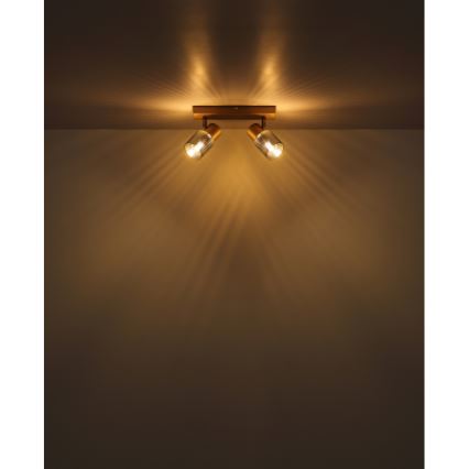 Globo - Spotlight 2xE14/40W/230V