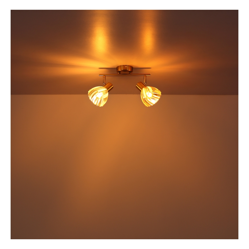 Globo - Spotlight 2xE14/40W/230V guld