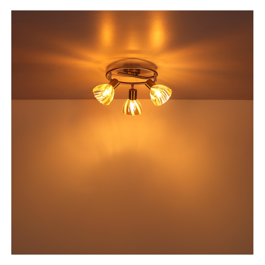 Globo - Spotlight 3xE14/40W/230V guld