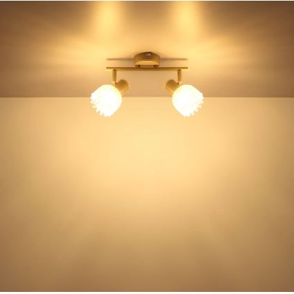 Globo - Spotlampa 2xE14/40W/230V