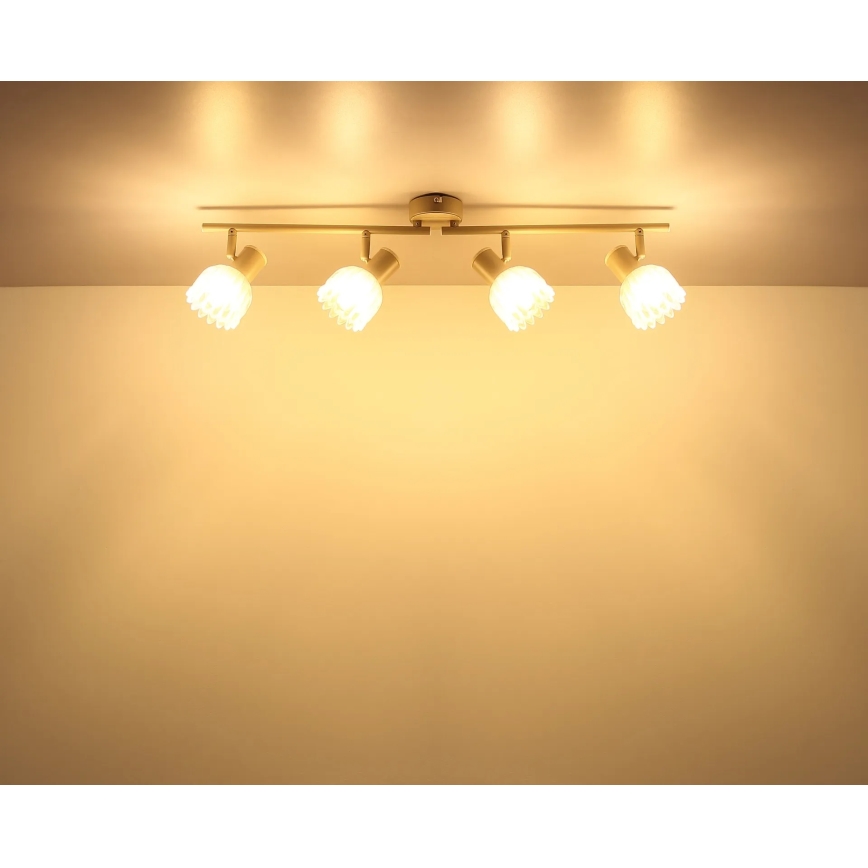 Globo - Spotarmatur 4xE14/40W/230V