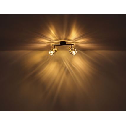 Globo - Spotlight 2xE14/40W/230V