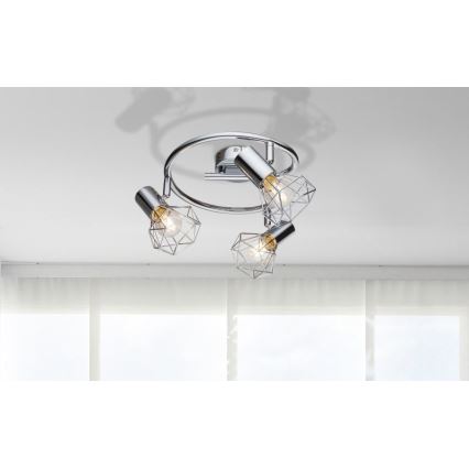 Globo 54802-3 - Spotlight XARA I 3xE14/40W/230V