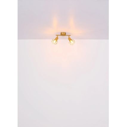 Globo - Spotlight 2xE14/40W/230V guld