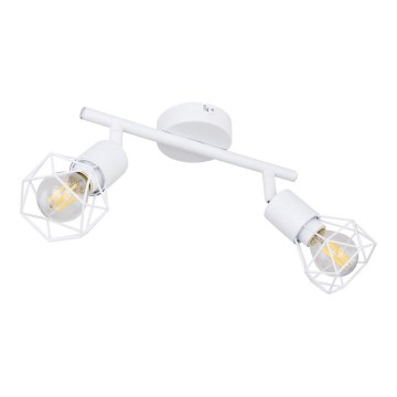 Globo 54802W-2 - Spotlight XARA 2xE14/40W/230V
