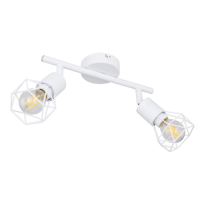 Globo 54802W-2 - Spotlight XARA 2xE14/40W/230V