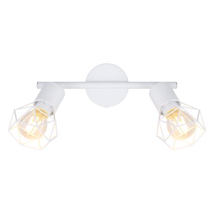 Globo 54802W-2 - Spotlight XARA 2xE14/40W/230V
