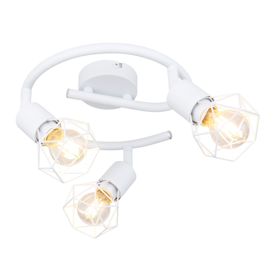 Globo 54802W-3 - Spotlight XARA 3xE14/40W/230V