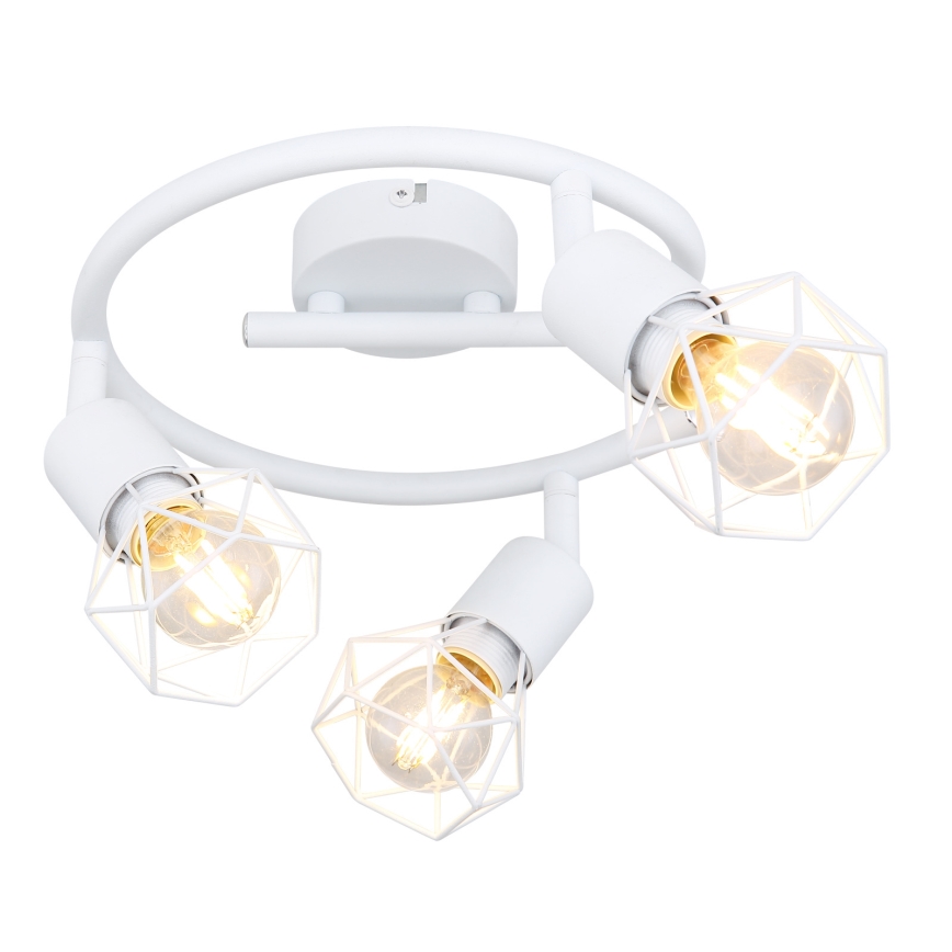 Globo 54802W-3 - Spotlight XARA 3xE14/40W/230V