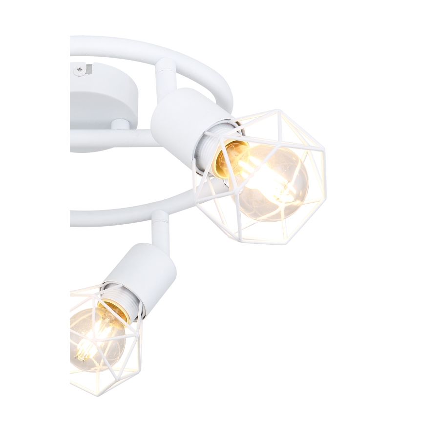 Globo 54802W-3 - Spotlight XARA 3xE14/40W/230V