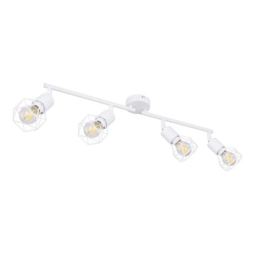 Globo 54802W-4 - Spotlight XARA 4xE14/40W/230V