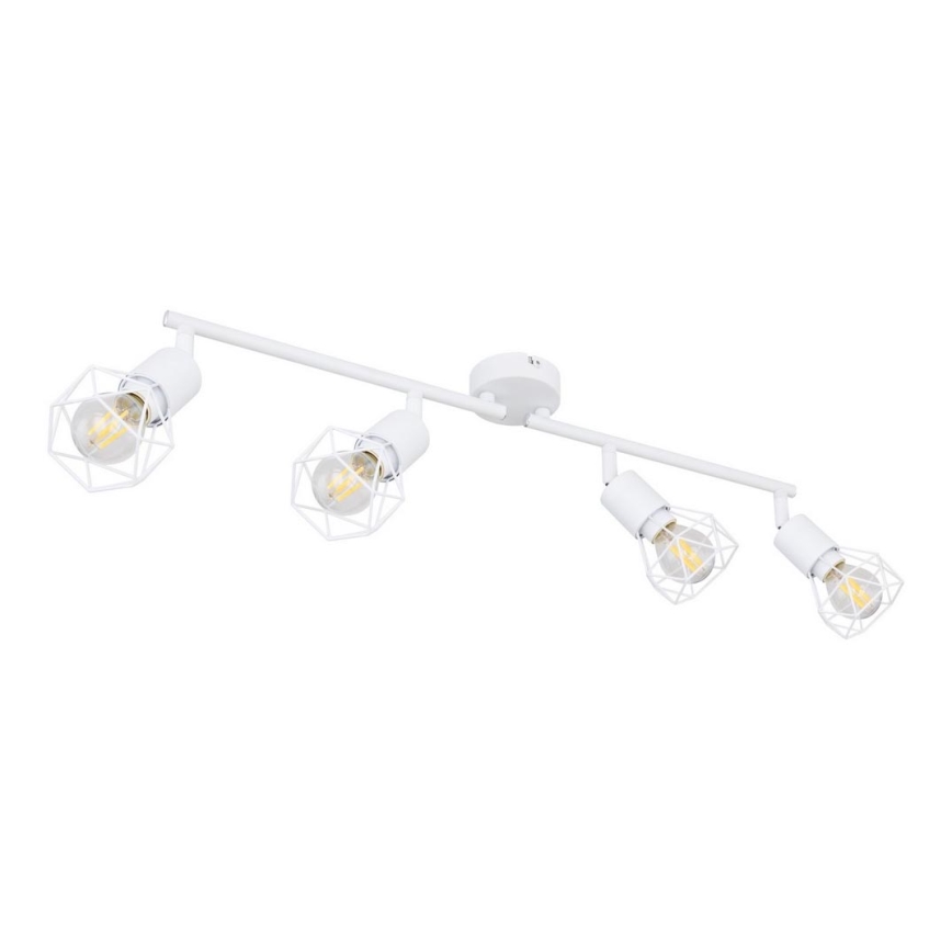 Globo 54802W-4 - Spotlight XARA 4xE14/40W/230V