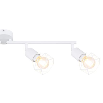 Globo 54802W-4 - Spotlight XARA 4xE14/40W/230V