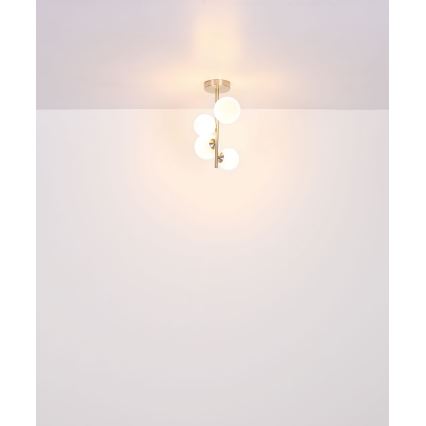 Globo - LED pendelljuskrona 4xG9/3W/230V matt krom