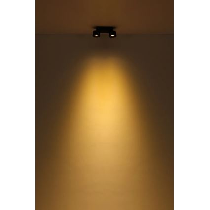 Globo - LED spotlight 2xLED/6W/230V svart