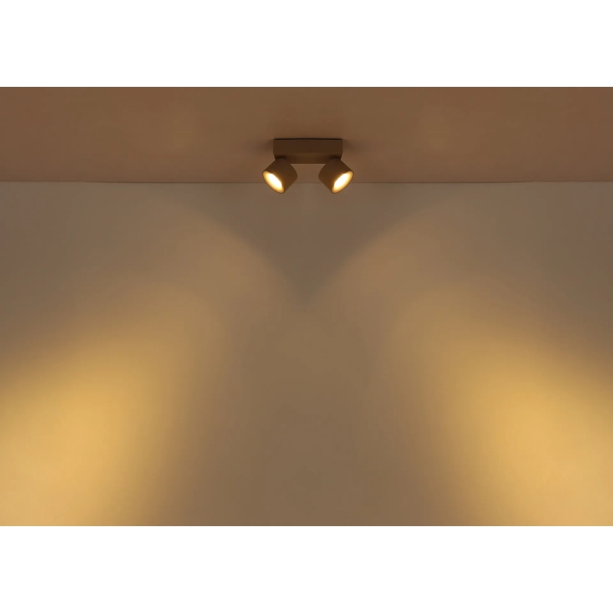 Globo - LED-spot 2xLED/6W/230V