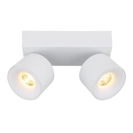 Globo - LED spotlight 2xLED/6W/230V vit