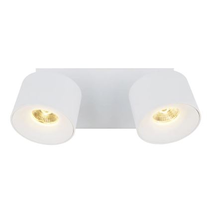 Globo - LED spotlight 2xLED/6W/230V vit